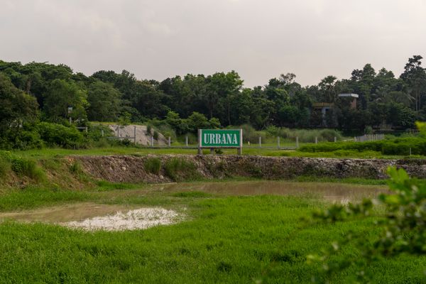 Green Expanses