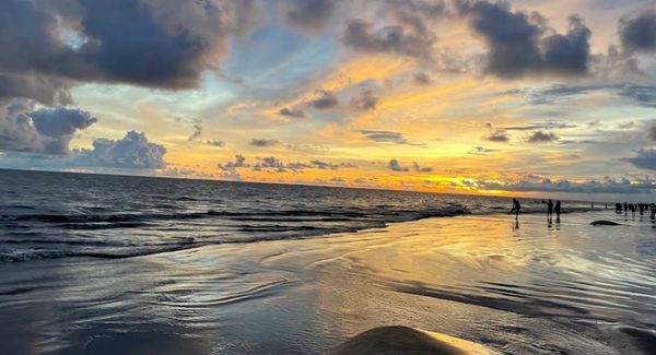 Sunset View